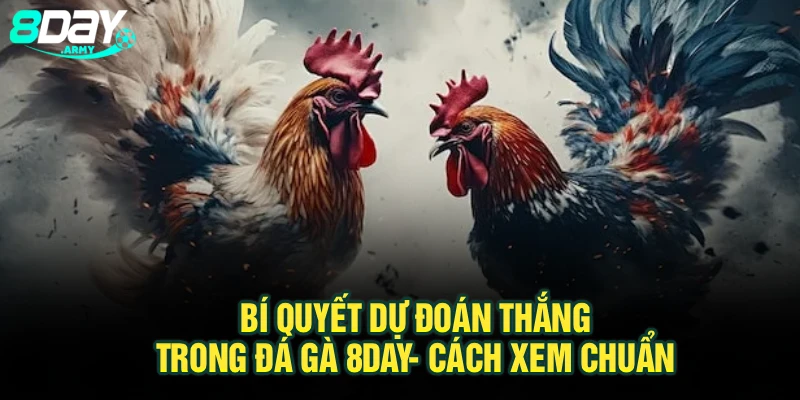 Bí Quyết Dự Đoán Thắng Trong Đá Gà 8Day- Cách Xem Chuẩn