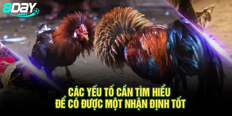 Các yếu tố cần tìm hiểu để có được một nhận định tốt
