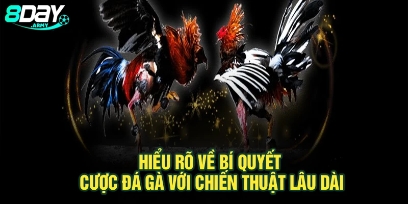 Hiểu rõ về bí quyết cược đá gà với chiến thuật lâu dài