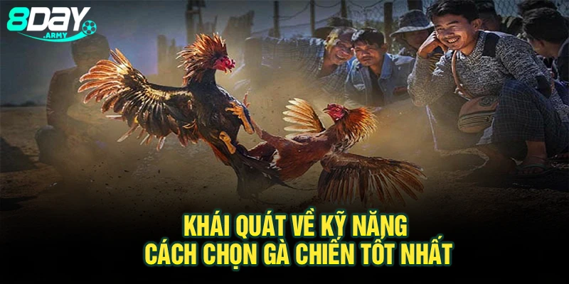 Khái quát về kỹ năng cách chọn gà chiến tốt nhất