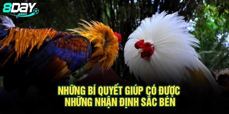 Những bí quyết giúp có được những nhận định sắc bén