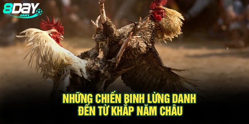 Những chiến binh lừng danh đến từ khắp năm châu