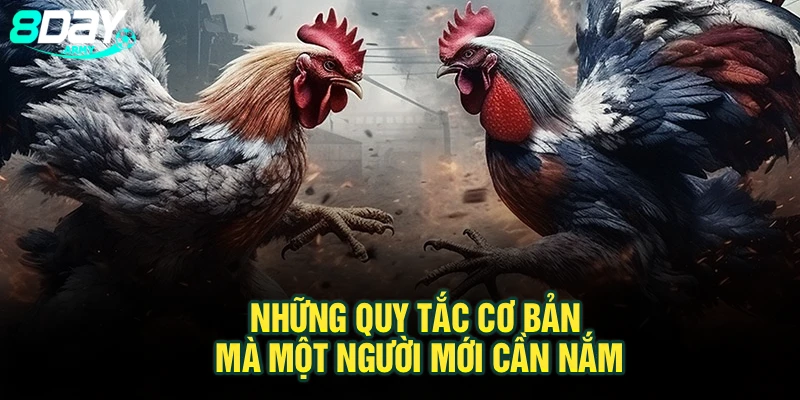 Những quy tắc cơ bản mà một người mới cần nắm