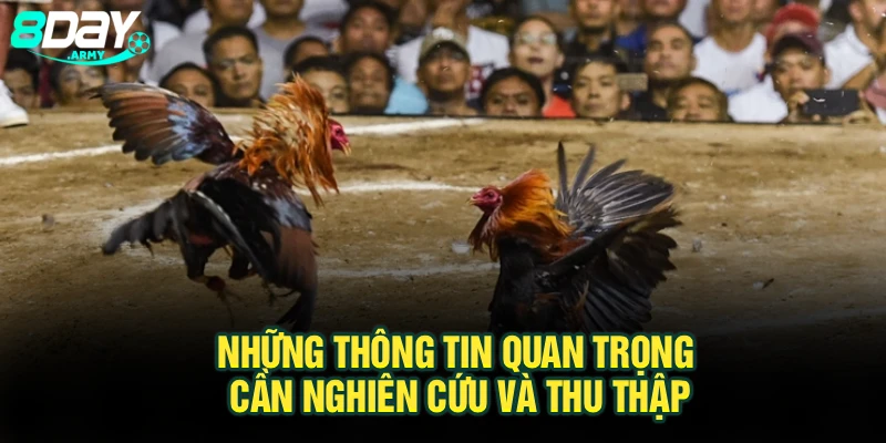 Những thông tin quan trọng cần nghiên cứu và thu thập