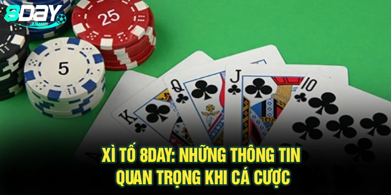 Xì Tố 8Day: Những Thông Tin Quan Trọng Khi Cá Cược